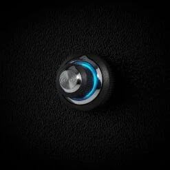JL Audio 9 JL Audio -JL Audio DRC 205 Teal